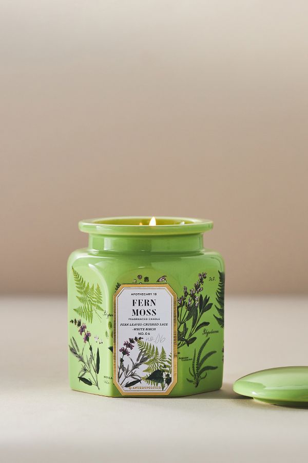 Slide View: 1: Apothecary 18 Fresh Fern Moss Ceramic Jar Candle