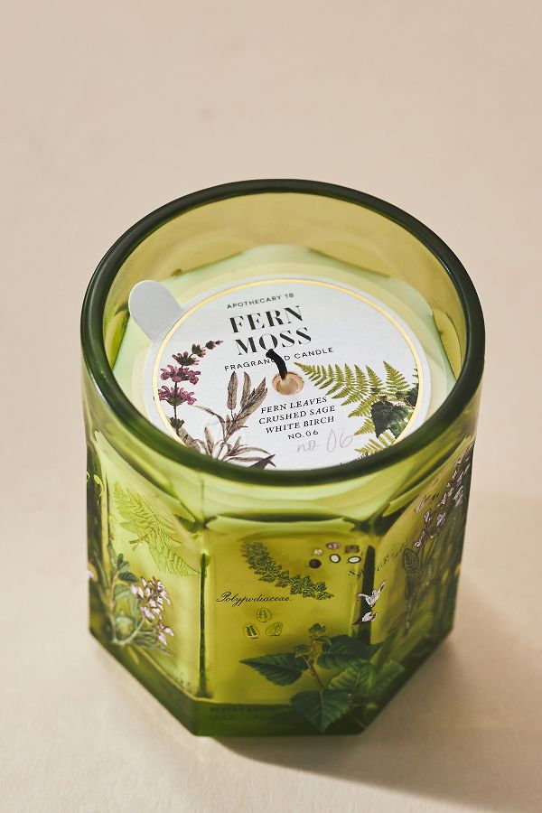 Slide View: 2: Apothecary 18 Fresh Fern Moss Glass Candle