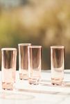 Thumbnail View 1: Morgan Shot Glasses, Set of 4