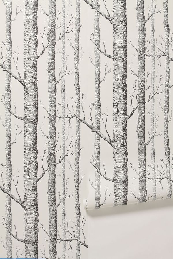 Slide View: 1: Woods Wallpaper