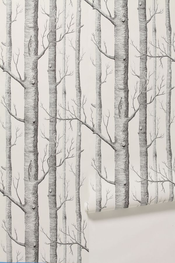 Woods Wallpaper Anthropologie