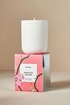 Thumbnail View 1: Phlur Apricot Privée Boxed Candle