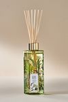 Thumbnail View 1: Apothecary 18 Fresh Fern Moss Reed Diffuser