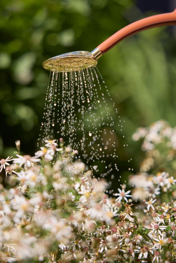 Slide View: 2: Haws Watering Can + Mister Gift Set