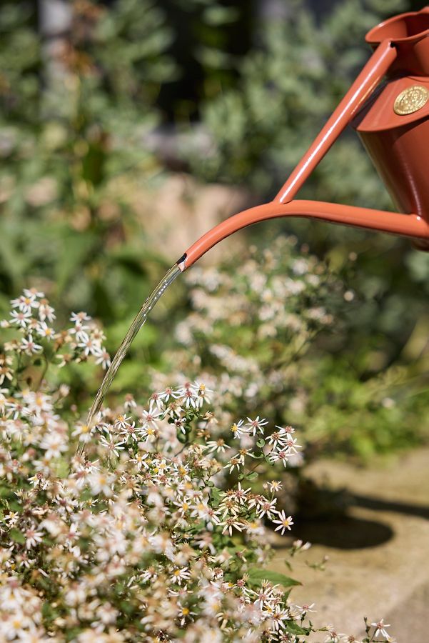 Slide View: 2: Haws 1 Liter Watering Can