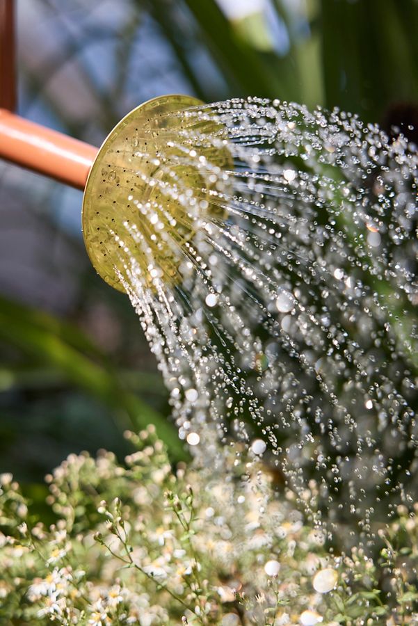 Slide View: 8: Haws Traditional Watering Can, 8.8L