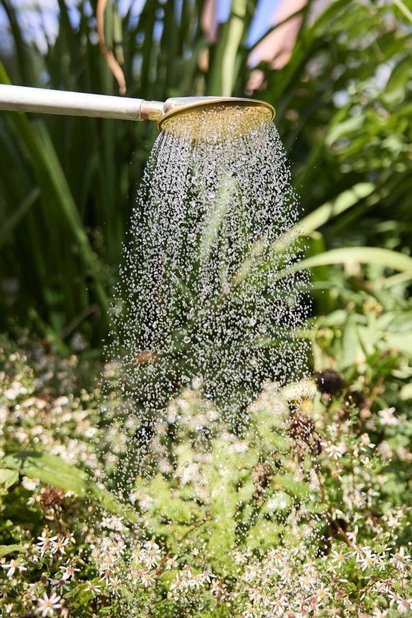 Slide View: 3: Haws Galvanized Watering Can