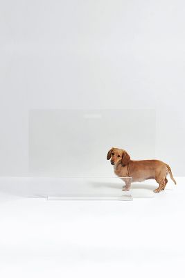 Hiddin Clear Freestanding Pet Gate Panel