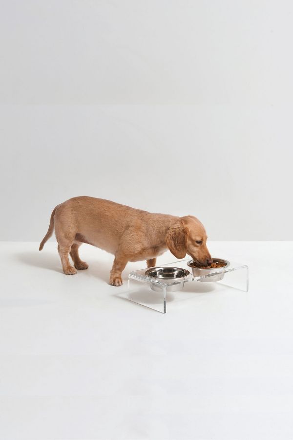 Slide View: 1: Hiddin Small Clear Double Pet Bowl Feeder