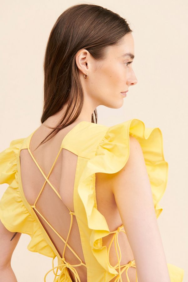 Slide View: 3: Allina Liu Camilla Midi Dress