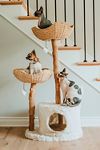 Thumbnail View 1: Mau Pet Cento Cat Tree