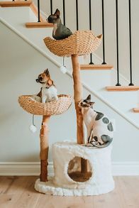 Slide View: 1: Mau Pet Cento Cat Tree