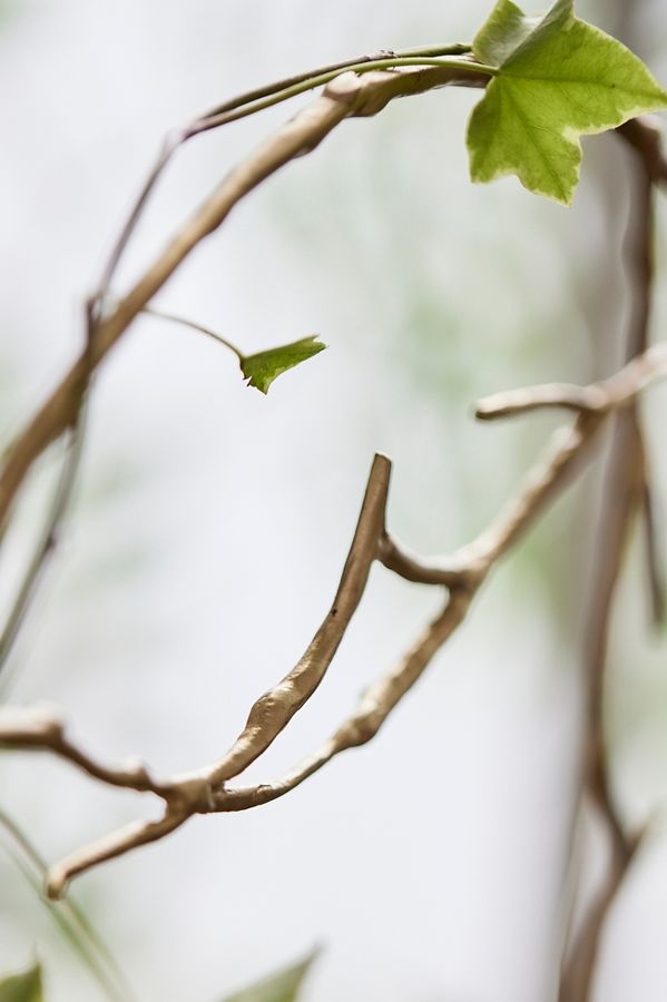 Slide View: 3: Brass Twig Hoop Trellis