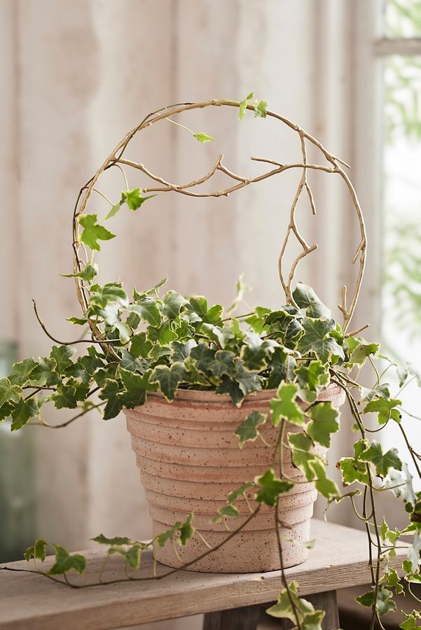 Slide View: 1: Brass Twig Hoop Trellis