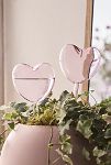 Thumbnail View 1: Heart Watering Globes, Set of 2