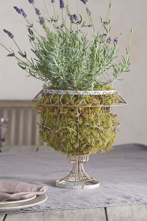 Slide View: 3: Scalloped Wire Urn Planter