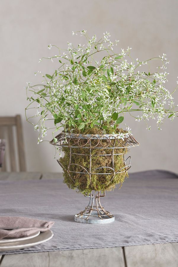 Slide View: 5: Scalloped Wire Urn Planter