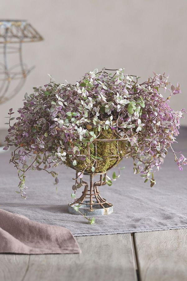 Slide View: 7: Scalloped Wire Urn Planter