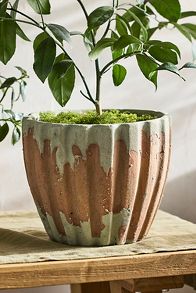 Slide View: 7: Ribbed Terracotta Taper Pot