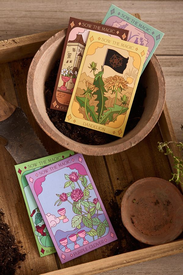 Slide View: 1: Sow the Magic Edible Flower Seed Collection