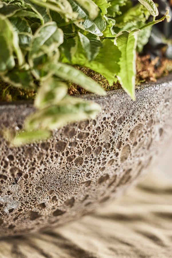 Slide View: 3: Barnacle Rounded Bowl Planter