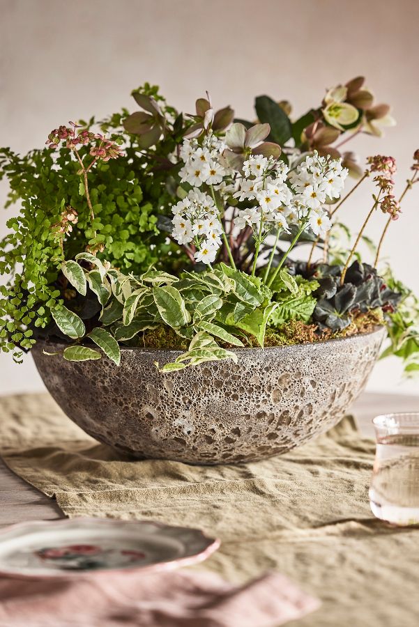 Slide View: 2: Barnacle Rounded Bowl Planter