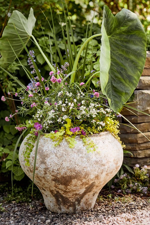 Slide View: 1: Barnacle Form Planter