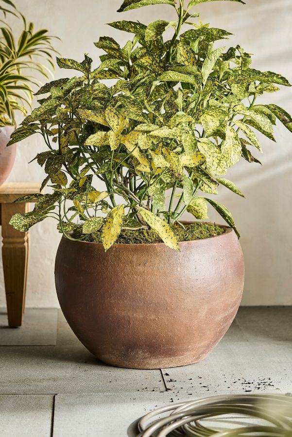 Slide View: 3: Terracotta Globe Planter