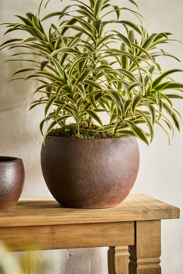 Slide View: 7: Terracotta Globe Planter