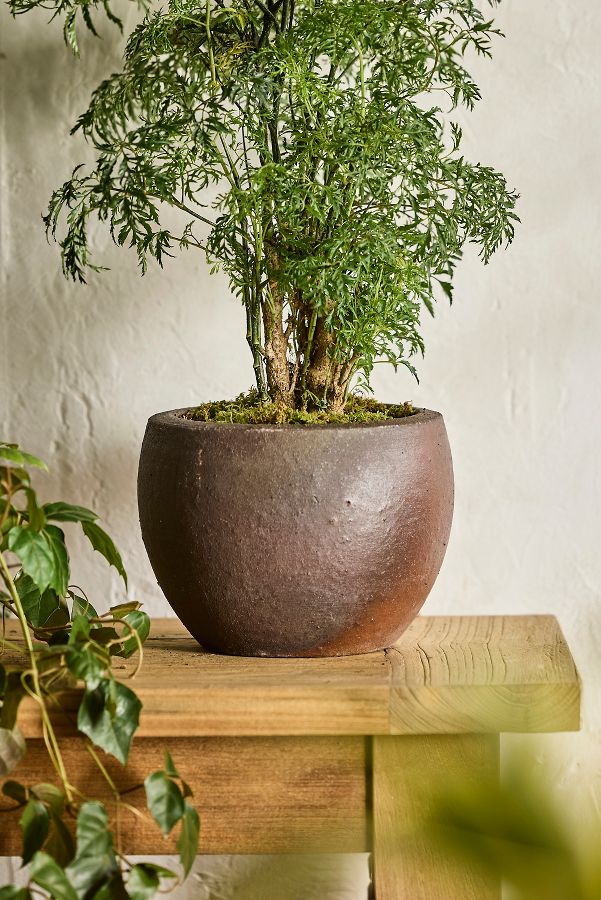 Slide View: 9: Terracotta Globe Planter