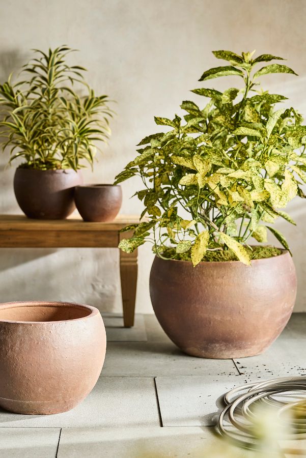 Slide View: 2: Terracotta Globe Planter