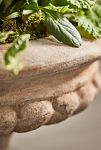 Thumbnail View 3: Classical Terracotta Urn Planter