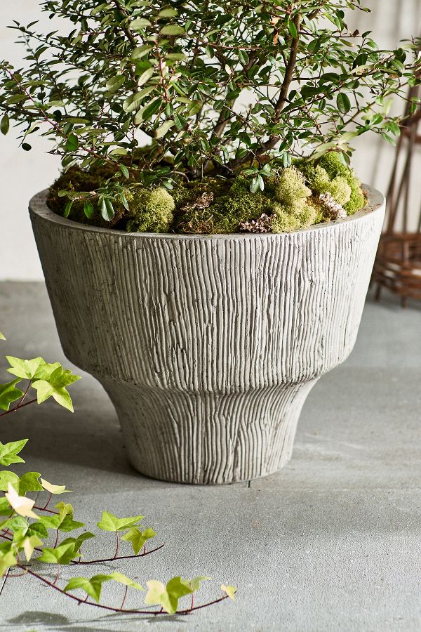 Slide View: 2: Fluted Textured Concrete Planter