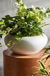 Thumbnail View 1: Smooth Concrete Bowl Planter