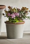 Thumbnail View 8: Raw Rim Stoneware Taper Planter