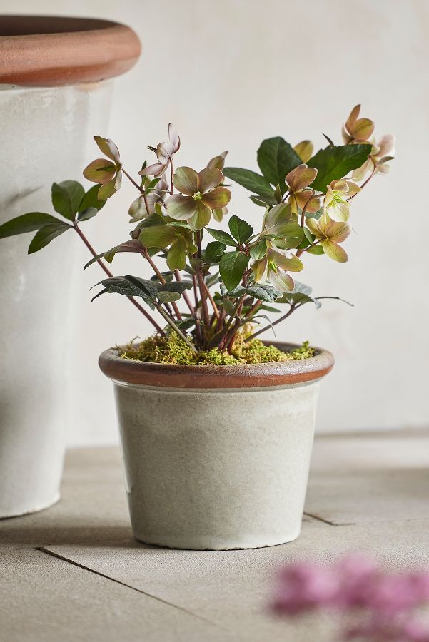 Slide View: 10: Raw Rim Stoneware Taper Planter