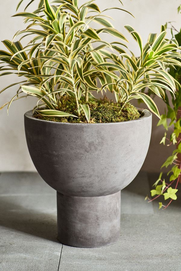 Slide View: 3: Footed Bowl Concrete Planter