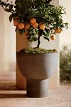 Thumbnail View 1: Footed Bowl Concrete Planter