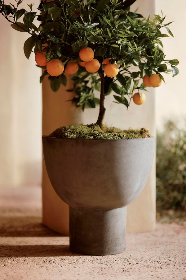 Slide View: 1: Footed Bowl Concrete Planter