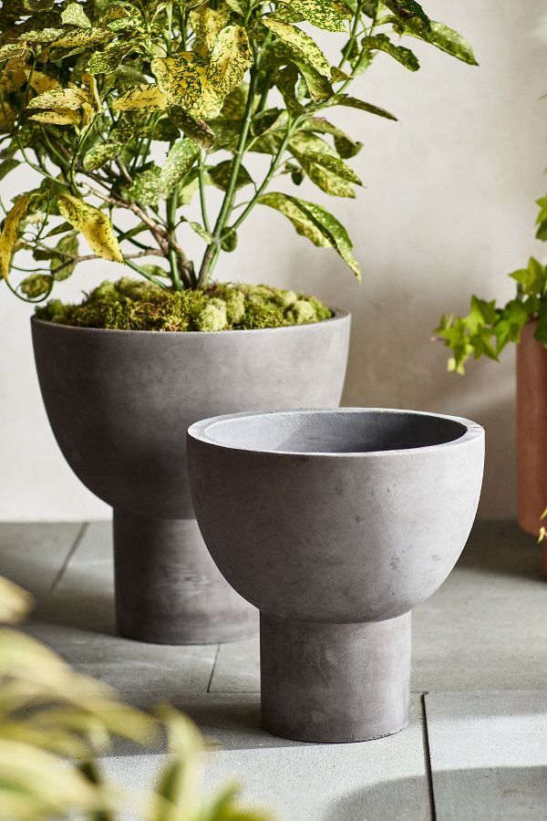 Slide View: 2: Footed Bowl Concrete Planter