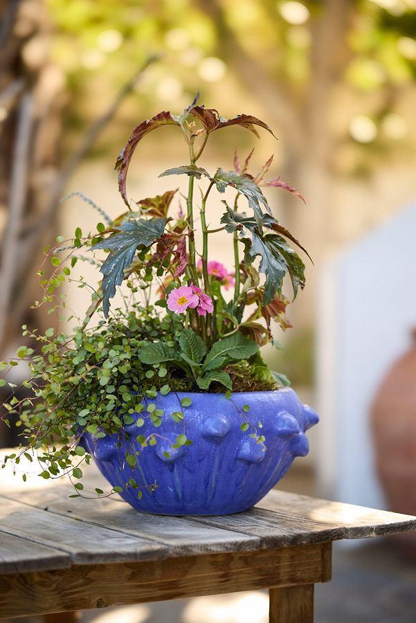 Slide View: 1: Knobby Blue Stoneware Bowl Planter