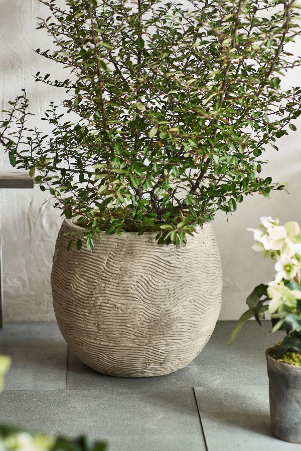 Slide View: 1: Wavy Concrete Orb Planter