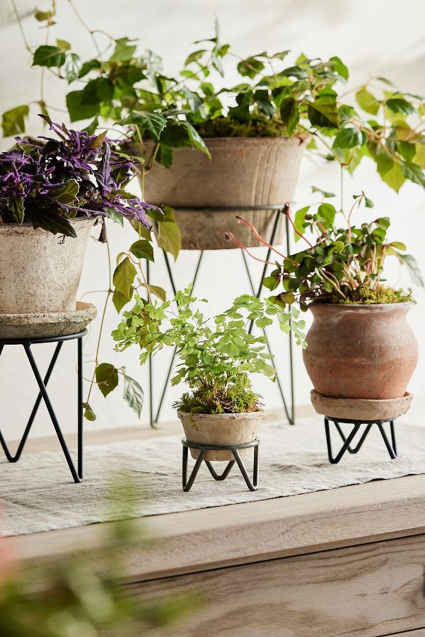 Slide View: 2: Tripod Plant Stand, Small