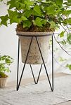 Thumbnail View 1: Tripod Plant Stand, Large