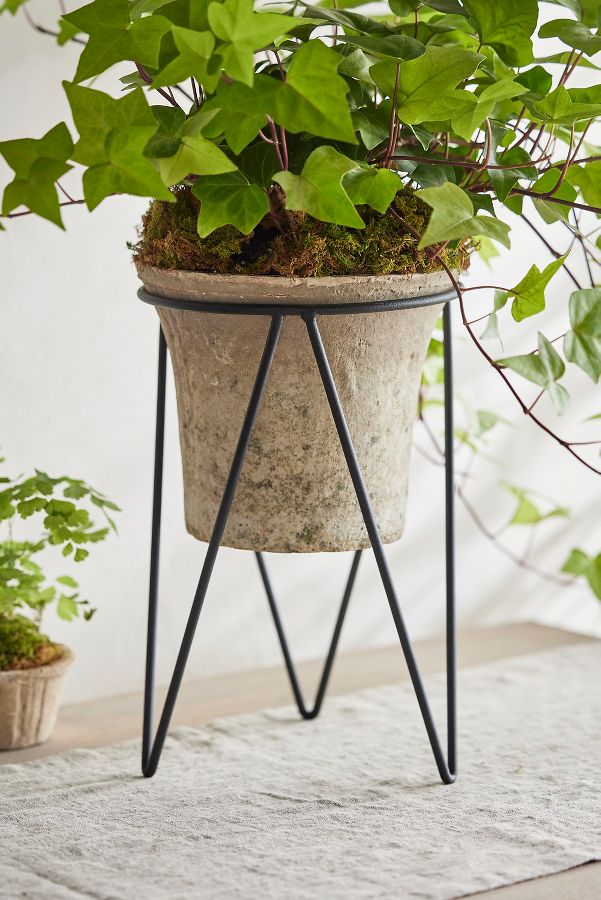 Slide View: 1: Tripod Plant Stand, Large