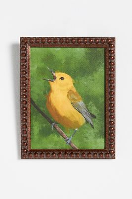 Prothonotary Warbler Wall Art