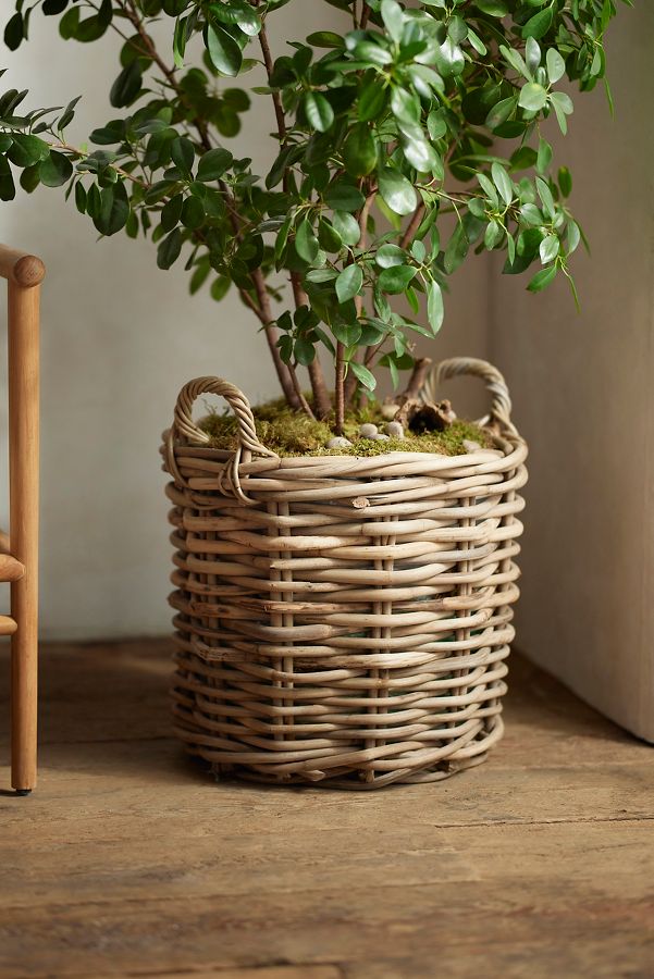 Slide View: 2: Rattan Cylinder Basket Planter