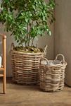 Thumbnail View 1: Rattan Cylinder Basket Planter