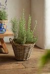 Thumbnail View 4: Rattan Tapered Basket Planter