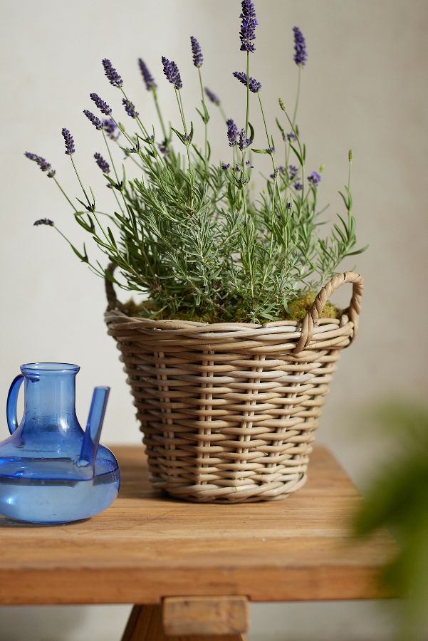 Slide View: 6: Rattan Tapered Basket Planter